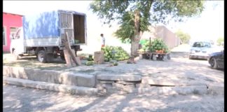 Дыни и арбузы в Шымкенте продают в неположенных местах