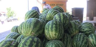 В арбузах и дынях обнаружили чрезмерное количество нитратов