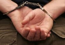 Блогера из Шымкента задержали по подозрению в вымогательстве у чиновника