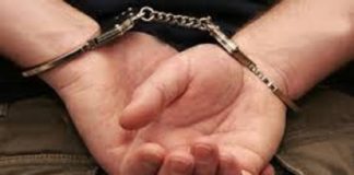 Аферистка из Созакского района обещала помочь с госсубсидиями