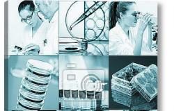 LUX Medical — молодая быстро развивающаяся компания