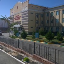 В Шымкенте ребенок выпал из окна многоквартирного дома детская областная клиническая больница