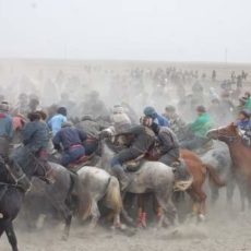 Кокпаристы из трех районов ЮКО боролись в зрелищном состязании