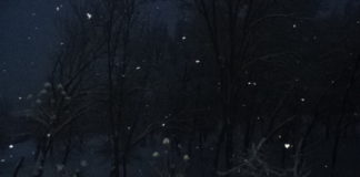 Массовое ограбление в Туркестане