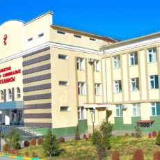 Специалисты из Казани поделились опытом с южноказахстанскими врачами Областная детская больница