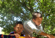 Жители Абайского района готовятся к конкурсу «Чистый двор от чистого сердца» Вместе с детьми горожане не только убирают мусор, но и украшают двор подделками ручной работы