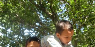 Жители Абайского района готовятся к конкурсу «Чистый двор от чистого сердца» Вместе с детьми горожане не только убирают мусор, но и украшают двор подделками ручной работы