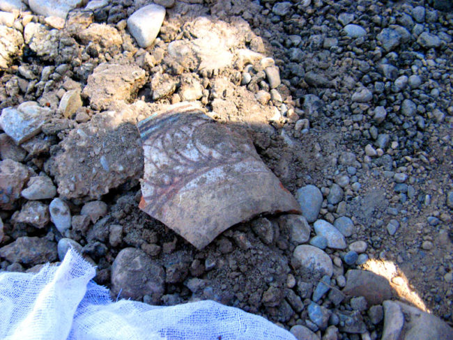 В Сайраме строители обнаружили человеческие кости