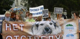 Прекратите отстрел собак!