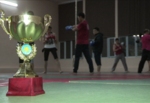 Кубок Казахстана по ушу-саньда завоевали шымкентцы Главный трофей Кубка Казахстана по ушу завоевали шымкентцы