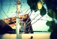 Преступники тоже плачут