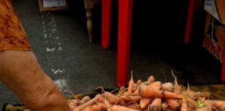 Алматинцы могут приобрести продукты из ЮКО по ценам ниже рыночных Капуста 60 тенге, морковь 100 тенге за килограмм