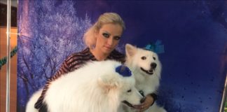 Грандиозное открытие сезона состоялось в цирке Шымкента По словам дрессировщицы Татьяны Мащенко, номер "Собаки на лошади", это единственный в мире обособленный номер с животными