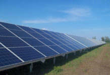 В Шымкенте запустили солнечную электростанцию