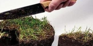 1300 нарушений чиновников в сфере земельных отношений в ЮКО выявили прокуроры