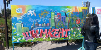 Шымкент подал заявку в ЮНЕСКО для подтверждения своего 2200-летия Молодые активисты представили граффити с изображением достопримечательностей Шымкента