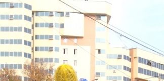 Новые МАФы появились на улицах Шымкента Малые архитектурные формы в Шымкенте