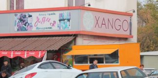 «Принял на грудь». Необычное ДТП в Шымкенте