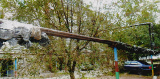 Шымкентские тепловики могут отапливать даже улицы города