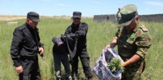 Итоги республиканской операции «Көкнәр-2014»