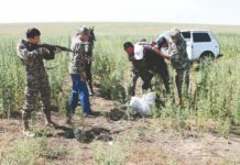 Результатами операции «Кокнар-2014» силовики остались довольны