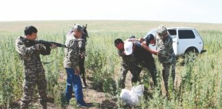 Результатами операции «Кокнар-2014» силовики остались довольны