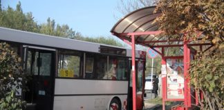 Арестован водитель автобуса, сбивший насмерть девушку в Шымкенте