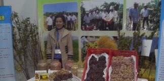 Праздничная сельхозвыставка «Золотая осень-2014» прошла в выставочном центре Шымкента Лучших аким области Аскар Мырзахметов наградил по номинациям