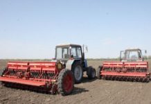 Крестьянские хозяйства области завершают посев озимых Крестьянские хозяйства области завершают посев озимых