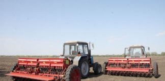 Крестьянские хозяйства области завершают посев озимых Крестьянские хозяйства области завершают посев озимых