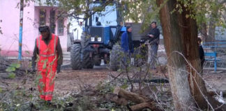 «Неблагое» благоустройство проводится в поселке Тогуз В микрорайоне "Нефтеразведка" поселка Тогуз началась санитарная вырубка деревьев