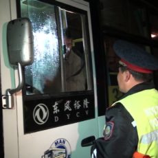 В ЮКО во время мероприятия «Автобус» выявили более 500 нарушений ПДД