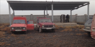 Отстрелянных бродячих собак и кошек в Шымкенте будут помещать в яму Беккари Яма Беккари