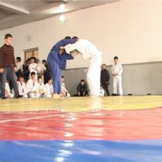Юные дзюдоисты Шымкента борются за награды городского турнира