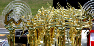 ОСДЮСШОР № 3 ЮКО подвела итоги уходящего 2014 года ОСДЮСШОР №3 ЮКО подвела итоги уходящего 2014 года