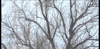 Прогноз на весну дали синоптики