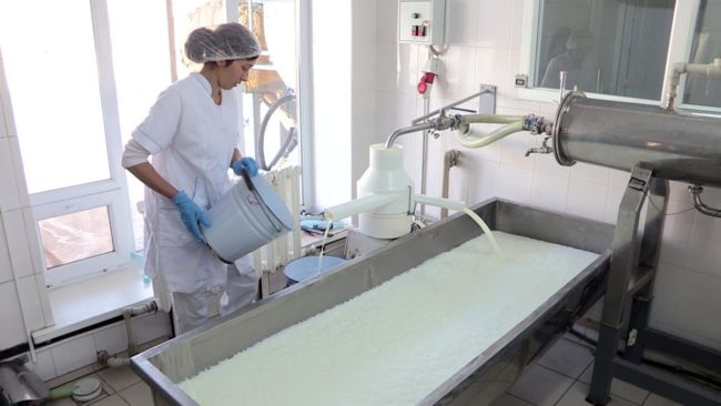"Ладушки" открыли свой молочный завод