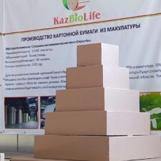 Индустриальный проект по выпуску картона реализован в Шымкенте Завод по выпуску гофрокартона «Казбиолайф» открыт на территории СЭЗ "Онтустик"