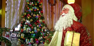 Благотворительную акцию «Елка желаний» проводит компания «Ладушки»