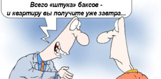 Шымкентцы сами виноваты в том, что их обманывают мошенники