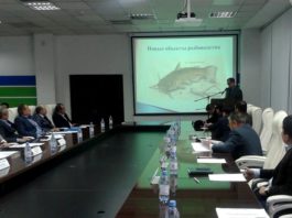 В Шымкенте обсудили перспективы развития рыбного хозяйства в ЮКО
