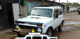 Самая обсуждаемая тема последних двух месяцев — поправки в ПДД Кенгурятник на Ниву