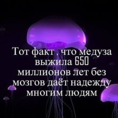 Бессовестные директора строительных компаний