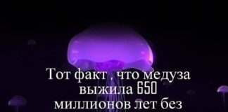 Бессовестные директора строительных компаний