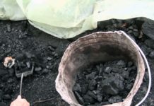 Подорожание угля объяснили в Минэнерго