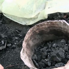В Шымкенте нет проблем с углем