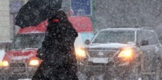 Метель, гололед и ветер обещают синоптики в Шымкенте на этой неделе