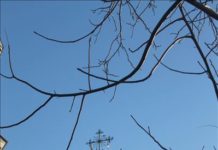 Рождественское послание епископа Чимкентского и Туркестанского Хрисанфа