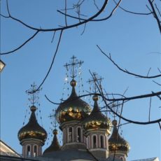 Рождественское послание епископа Чимкентского и Туркестанского Хрисанфа