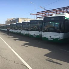 Начинается интенсивное обновление автопарков Шымкента Новые автобусы